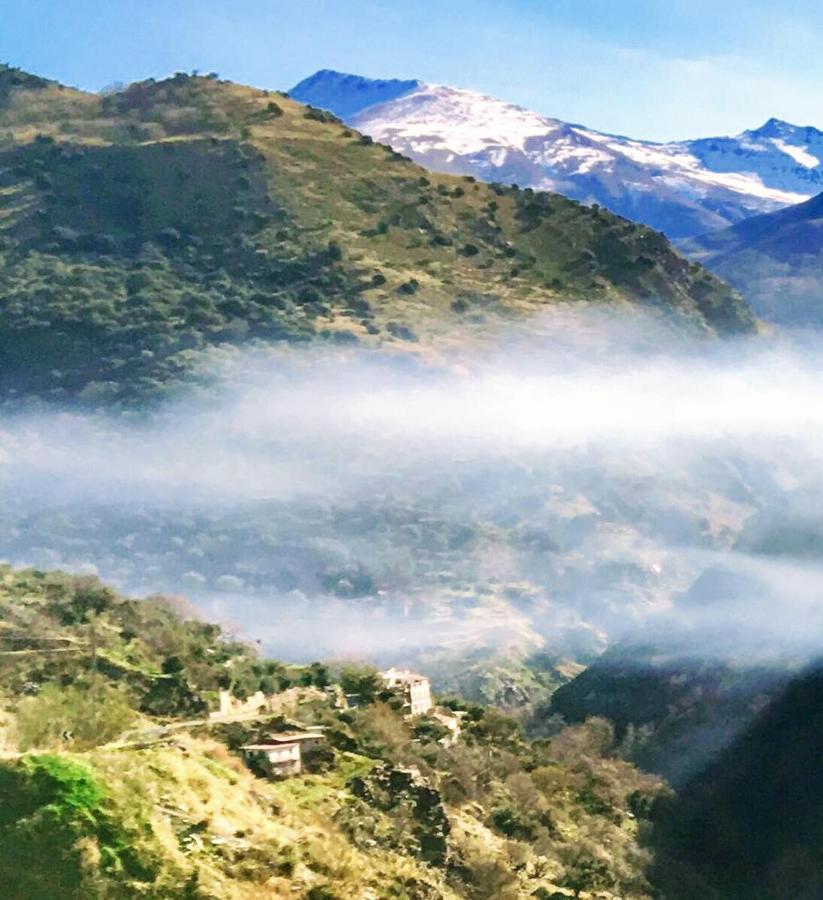 منزل الضيف غويخار سييرا  في Cortijo La Solana المظهر الخارجي الصورة