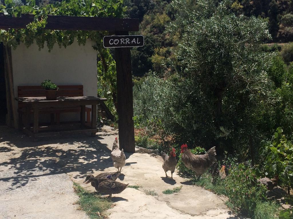 منزل الضيف غويخار سييرا  في Cortijo La Solana المظهر الخارجي الصورة